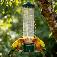 Outdoor Hanging Bird Feeder for Garden and Patio