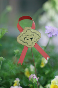 Bowknot Iron Art Flower Insert with Ribbon for Garden Pot Decoration