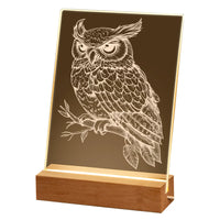DIY Engraving Art Night Light Kit with Acrylic Luminous Board and Base