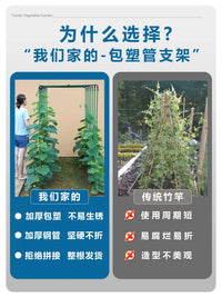 Garden Trellis Kit for Climbing Plants, Vegetables, Fruits - Coated Steel Pipe Support Frame