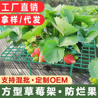 Square Strawberry Support Frame Garden Stand Anti-Toppling Fruit Holder Gardening Supplies Strawberry Planting Support Rack