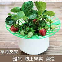Strawberry Plant Support Stand for Garden and Potted Plants, Prevents Rot and Waterlogging