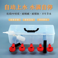 Automatic Poultry Waterer with Transparent Bucket for Chickens, Ducks, Geese