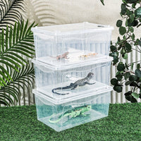 Reptile Terrarium Breeding Box for Lizards, Spiders, Snails, and Frogs with Feeding Bowl