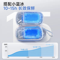 Portable Insulated Cooler Bag for Breast Milk, Insulin, and Medication with Ice Packs