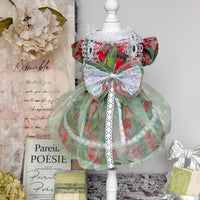 Handmade Pet Princess Dress with Floral Design for Cats and Dogs, Red and Green
