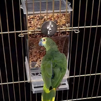 Automatic Bird Feeder with Spill-Proof Design and Seed-Hull Separation for Parrots