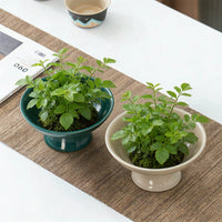 Ceramic Moss Ball Planter with Tray - Desktop Hydroponic Bonsai Vessel