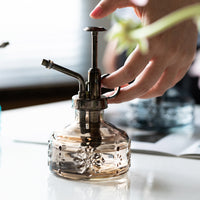 Vintage Mini Glass Plant Mister with Pump for Indoor Gardening and Potted Plants