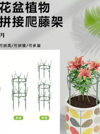Stackable Plant Support Stakes for Potted Plants and Orchids