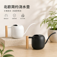 Long Spout Watering Can with Wooden Handle, 1200ML Metal Indoor Watering Pot
