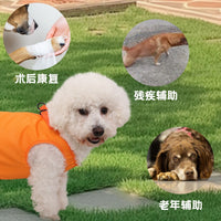 Multi-functional Pet Lifting Harness and Leash for Small Dogs