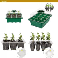 12-Cell Seedling Starter Tray with Lid - Thickened, Breathable, Humidity-Controlled Germination Kit for Succulents and Plants