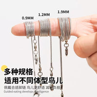 Parrot Stainless Steel Ankle Chain Leash for Small to Medium Birds - Outdoor Training and Walking Harness