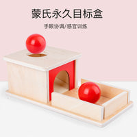 Montessori Wooden Coin Box and Textile Drum Toy for Toddlers 1-3 Years