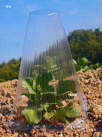 Clear Plastic Plant Cover Cones for Seedling Protection and Insulation