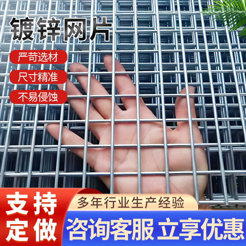 Galvanized Welded Wire Mesh Panel for Pigeon Breeding, Orchard Fencing, and Protection