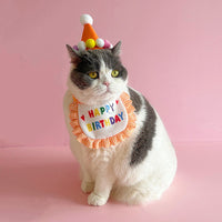 Pet Birthday Party Hat and Bib Set for Dogs and Cats - First Birthday Celebration Decoration