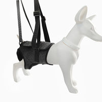 Dog Rear Leg Support Harness for Injured or Elderly Dogs