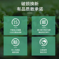 Rectangular Plastic Raised Garden Bed Planter Box for Home Balcony Vegetable Planting
