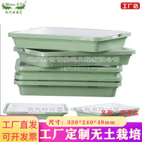 Hydroponic Seed Sprouting Tray with Optional Multi-Tier Rack for Indoor Gardening