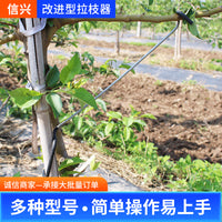 Fruit Tree Branch Spreader and Bender for Shaping and Fixing