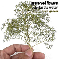Preserved Dried Flower Miniature Tree Model for DIY Crafts and Dioramas