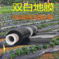 Agricultural White Plastic Film for Orchard Greenhouse Concrete Curing