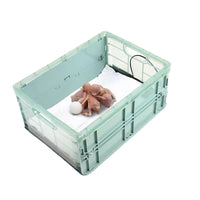 Pet Heating Pad for Birds Incubator Brooder Constant Temperature Warm Box for Chicks Parrot Hatching