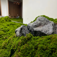 Artificial Moss Mat for Micro Landscape and Terrarium Decor
