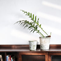 Nordic Ins Style Vintage Cement Planter with Moss Green Finish for Living Room Balcony Decor