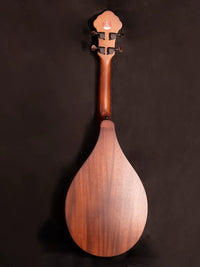 Mingjiu Beginner Ruan Chinese Lute Small Four-String Instrument for Music Class
