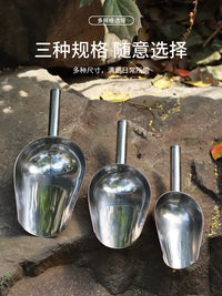 Stainless Steel Potting Scoop for Succulents and Potted Plants