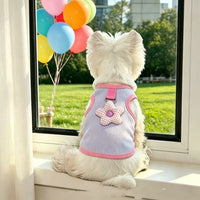 Pet Cat Dog Harness Vest with Leash for Small Dogs and Cats, Breathable Lightweight Apparel for Spring/Summer Outdoor Walks