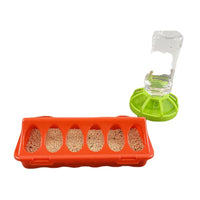 Automatic Quail Feeder and Waterer Set for Poultry