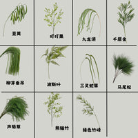 Artificial Greenery Monet Wedding Floral Arrangement Leaves Dragon Beard Grass Asparagus Grass Lawn Wedding Decoration Wholesale Green Leaves