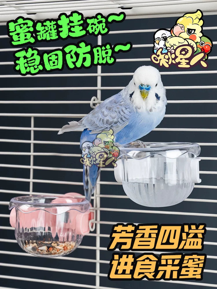 Parrot Feeder with Perch and Food Bowl for Small Birds