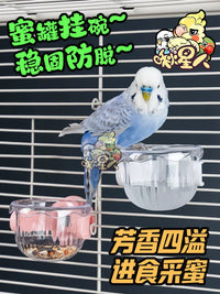 Parrot Feeder with Perch and Food Bowl for Small Birds
