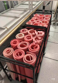 Yoga Mat and Ball Storage Rack with Wheels for Home Gym