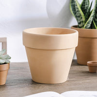 Terracotta Clay Plant Pots Breathable for Succulents and Orchids