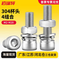 304 Stainless Steel Hex Socket Cap Head Screw, Nut, and Washer Assortment Kit