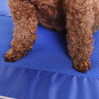 Pet Cooling Mat Washable POE Non-Gel Summer Sleep Pad for Cats and Dogs