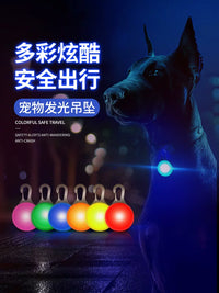 Pet LED Luminous Pendant & Collar Set for Night Safety