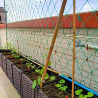 Garden Plant Trellis Netting for Climbing Vegetables Fruits Vines Beans Grapes