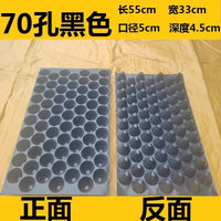Seedling Starter Trays for Fruits, Vegetables, and Tobacco - Reusable Plastic Plant Germination Trays