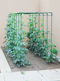 Garden Trellis for Climbing Plants, Vegetables, Tomatoes, Beans, and Flowers - Plant Support Frame
