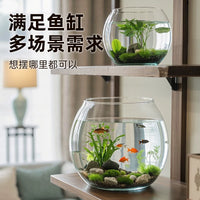 Round Desktop Fish Tank for Goldfish and Betta Fish, Ecological Aquascape Aquarium