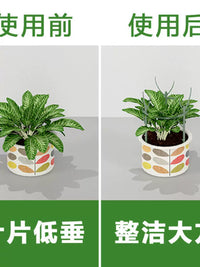 Stackable Plant Support Stakes for Potted Plants and Orchids