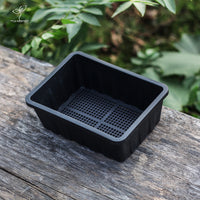 Mini Seedling Starter Trays with Humidity Dome for Succulents and Cuttings, PP Material