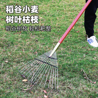 Telescopic Stainless Steel Garden Rake for Leaves and Grass